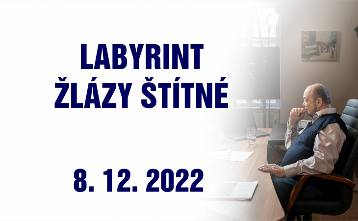 Labyrint žlázy štítné