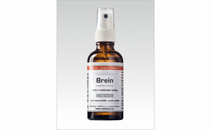 Brein